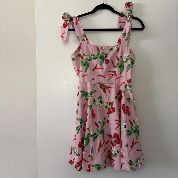 Zara Womens XS Cherry Print Sleeveless A-Line Mini Dress Tie Straps Straight Nec - Picture 3 of 9